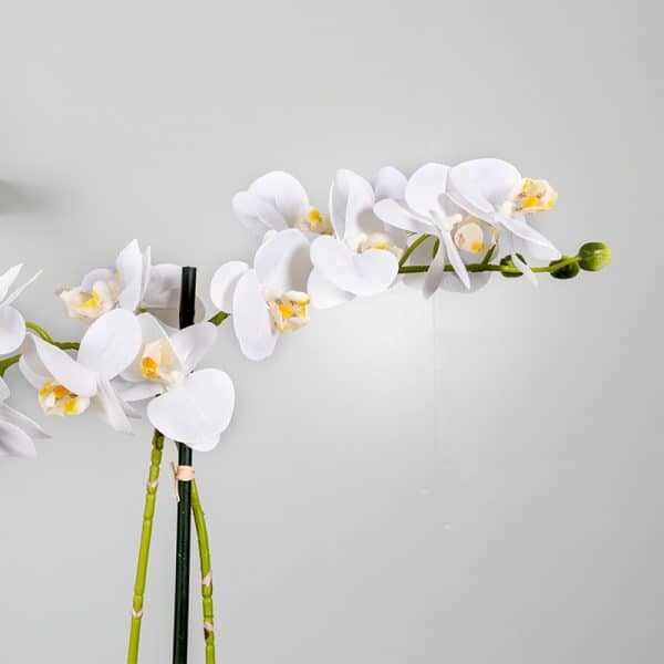 Kunstplant Orchidee 2 tak wit bloem