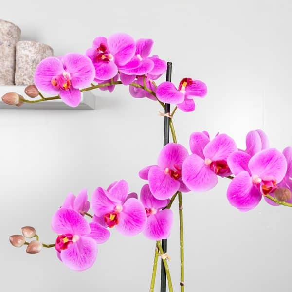 Kunstplant Orchidee 3 tak roze bloem