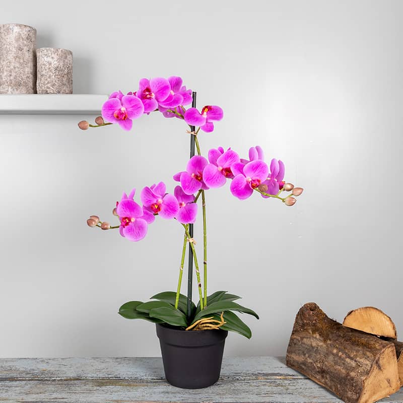 Kunstplant Orchidee 3 tak roze
