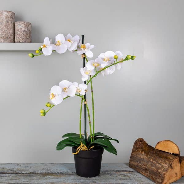 Kunstplant Orchidee 3 tak wit