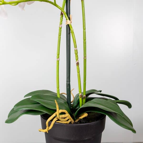 Kunstplant Orchidee 3 tak wit steel