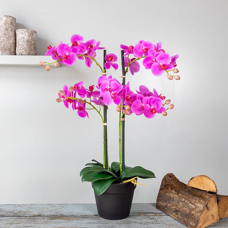 Kunstplant Orchidee 5 tak roze