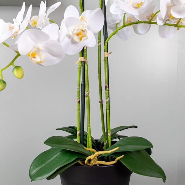 Orchidee Kunstplant 5 tak wit steel