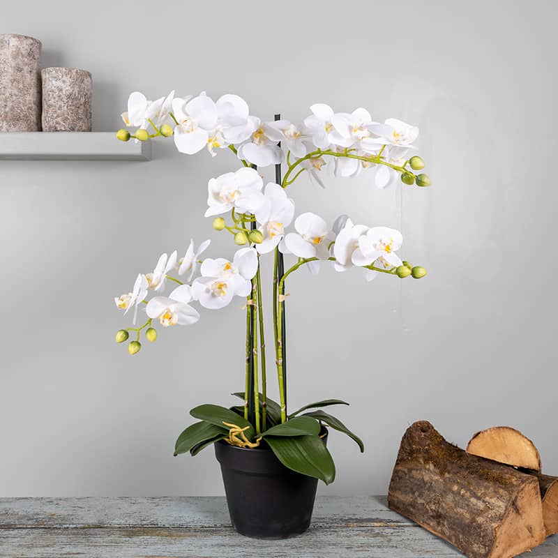 Orchidee Kunstplant 5 tak wit
