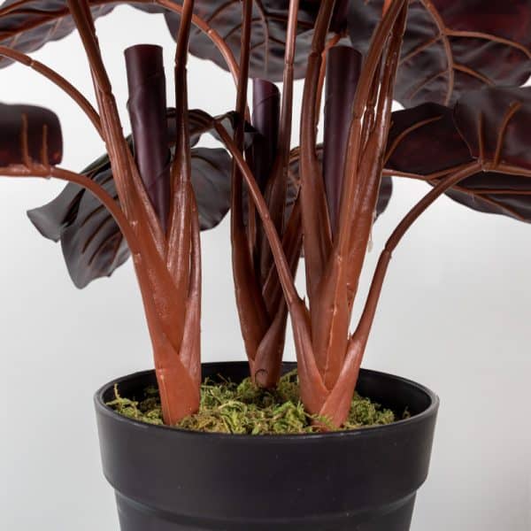 Kunstplant-Calathea-45-cm