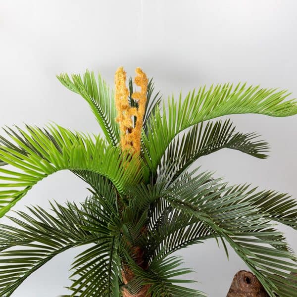 Kunstplant Cycas 50 cm