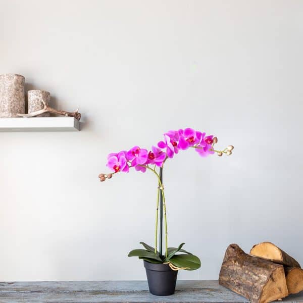 Kunstplant orchidee roze 2 tak