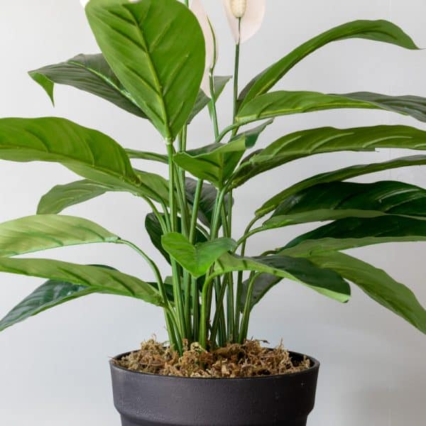 Kunstplant Spatiphyllum Lepelplant 60 cm