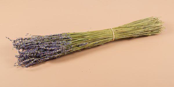 droogbloemen Lavendel