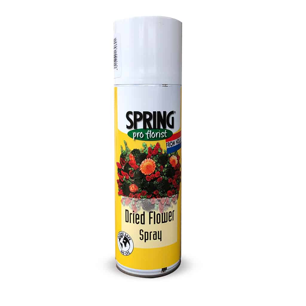 Spring droogbloemen spray