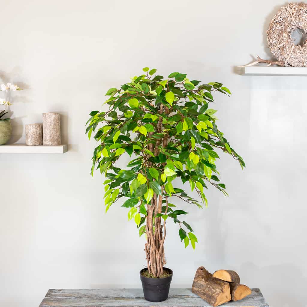 Kunstplant Ficus groen 120 2