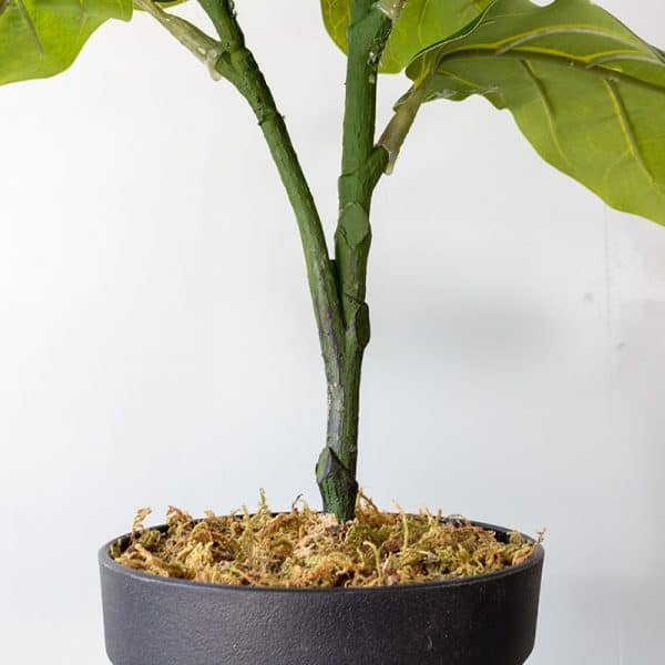 Kunstplant Ficus lyrata 70 cm stam