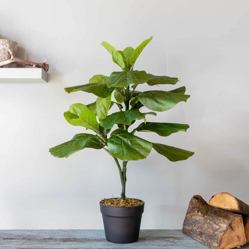 Kunstplant Ficus lyrata 70 cm