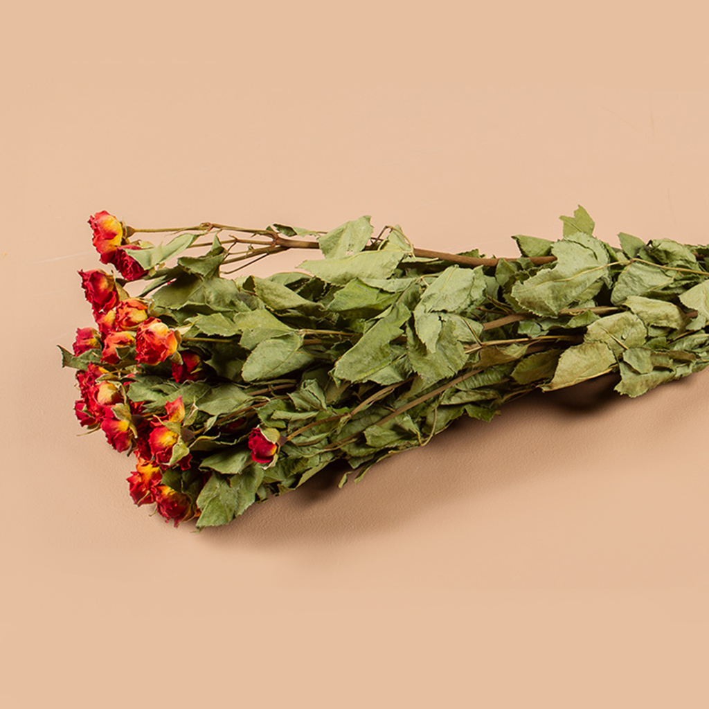 Losse droogbloemen roosjes rood