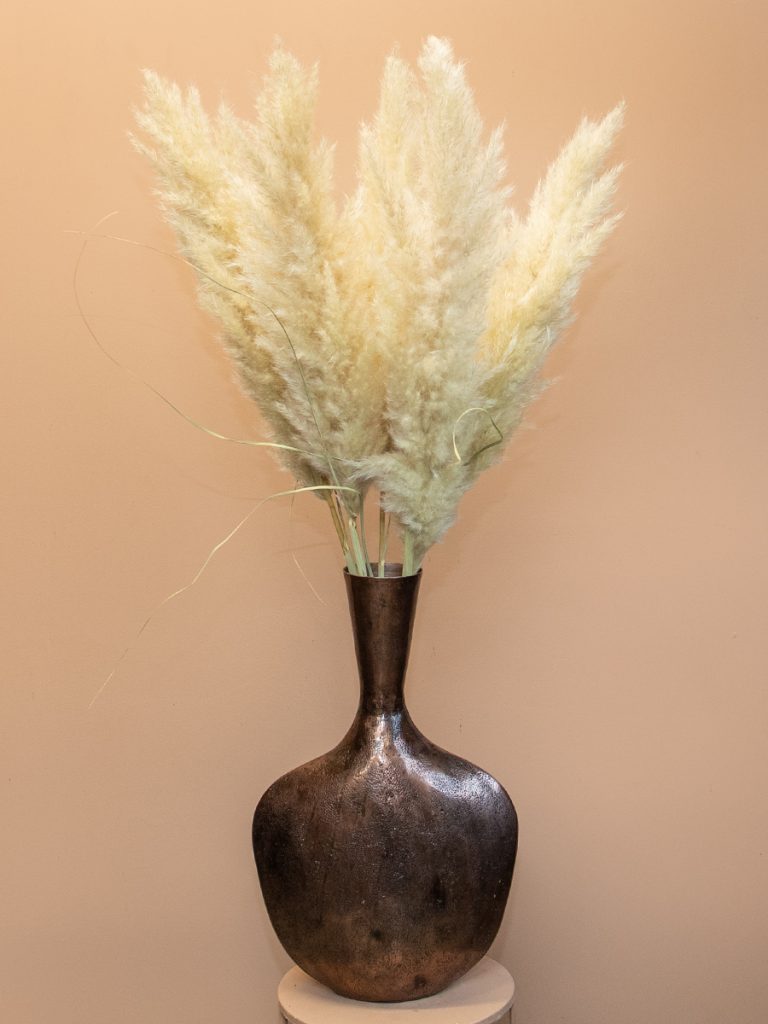 Pampas pluimen 80cm 1