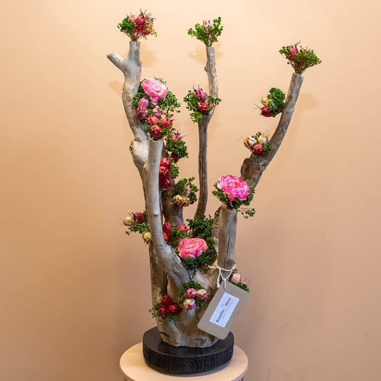 Droogbloemen boom roselinde roze 5