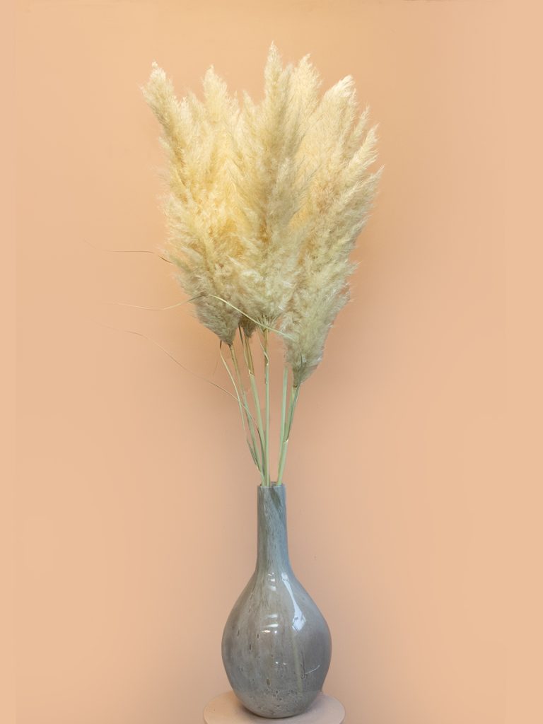 Pampas pluimen 110 cm