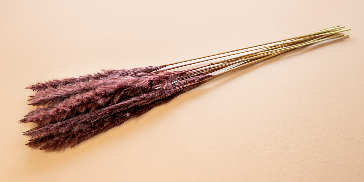 Nanal pampas bruin  80 cm